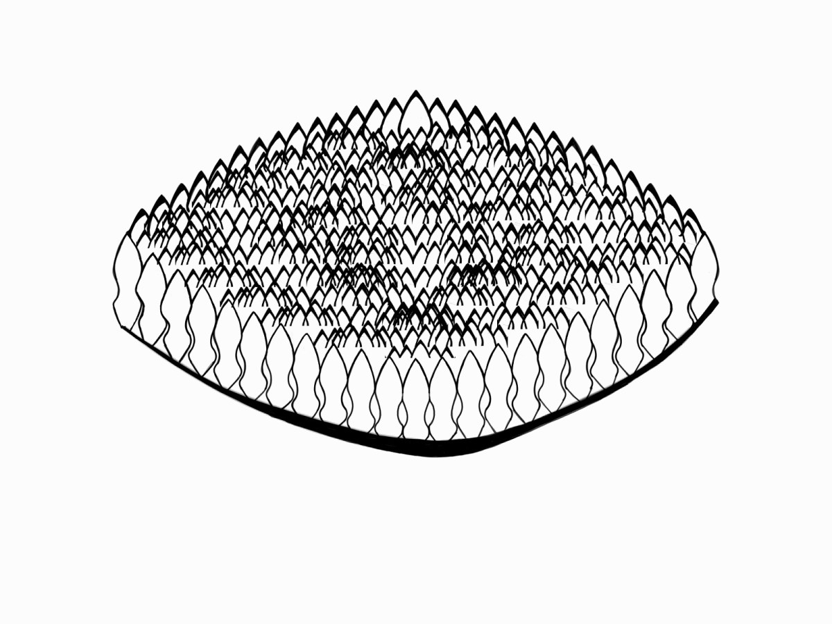 From the Manual and Reference of the Fonlands – Disc of&nbsp;Sakpata